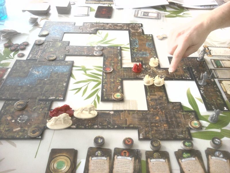 Préparation du plan d'attaque contre les Araignées