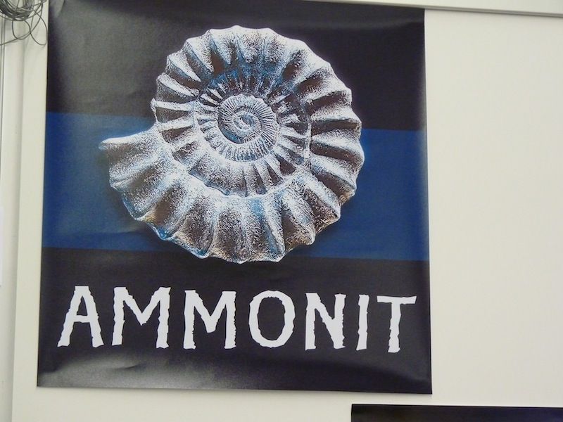 Stand 9-64 - Ammonit