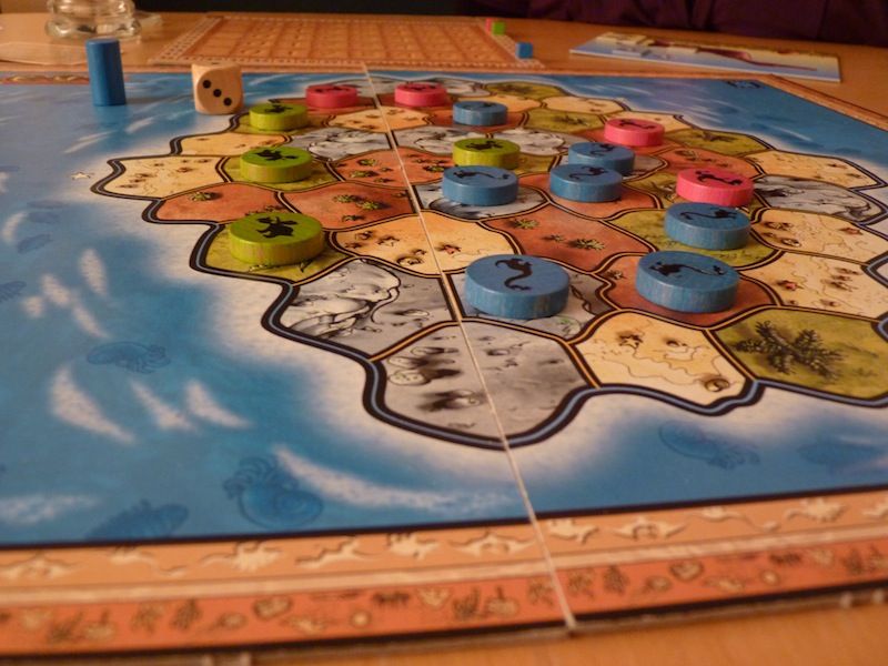 en pleine partie, en rose Rachel, en vert Anthony et en bleu Loïc