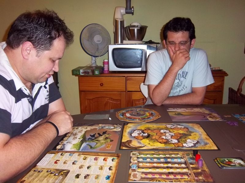 Les explications des règles de Evo par Lilajax...