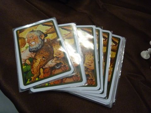 le dos des cartes du joueur scientifique