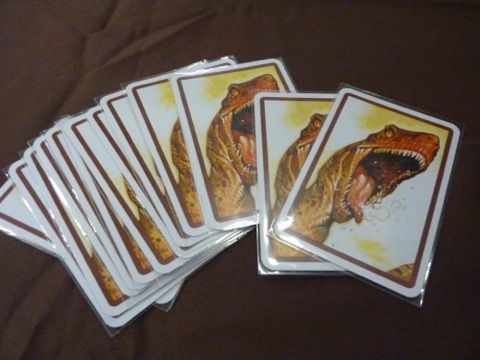 le dos des cartes du joueur raptor