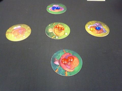 le matériel quasi définitif de Crossing