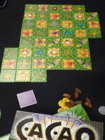 la plateau central représentant la jungle