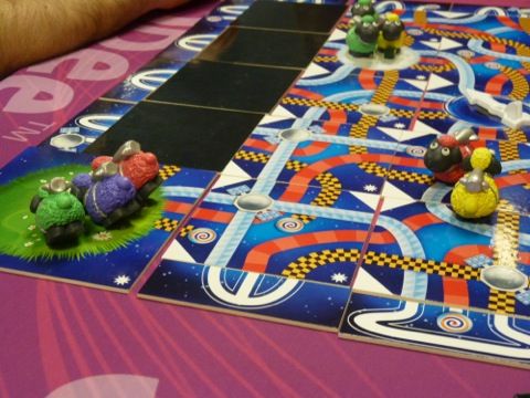 3 moutons ont déjà atteint l'arrivée