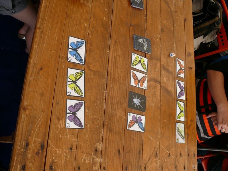 La chasse aux papillons