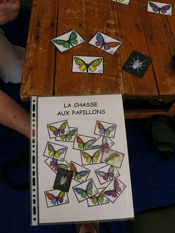 La chasse aux papillons