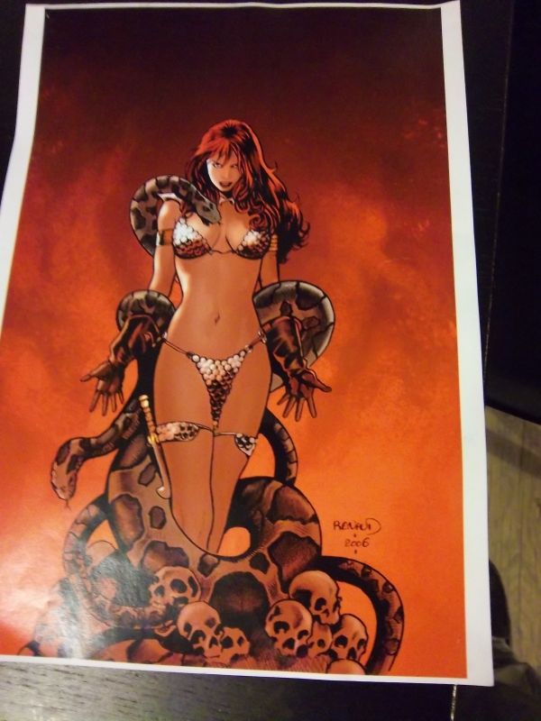 Pardon ? Ah ! oui...rien à voir avec Francis Drake, c'est juste pour taquiner notre Dame Shanouillette préférée, qui a rédigé un bel article sur la représentation des femmes dans les jeux..  ;-)