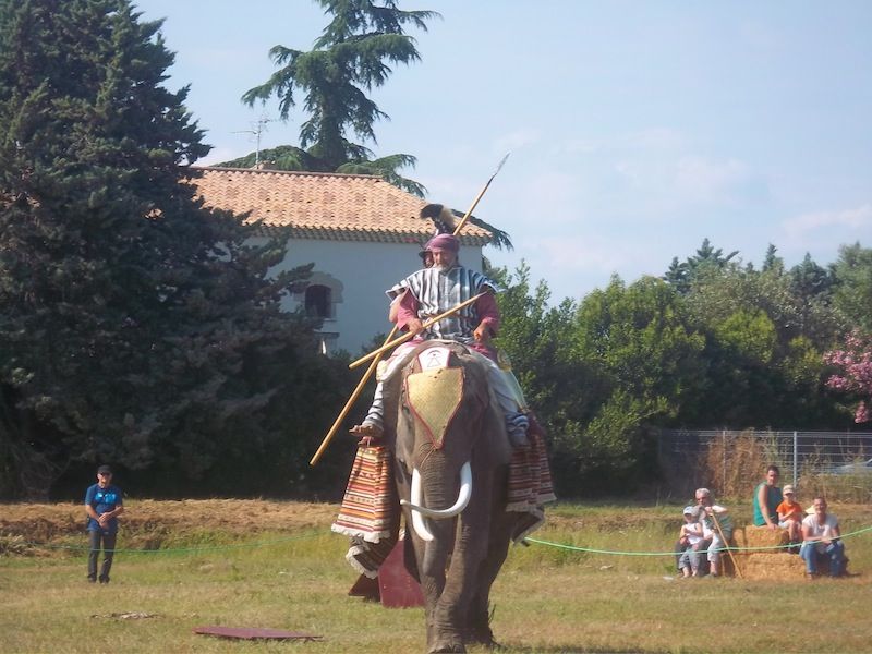 L'éléphant veut aussi fracasser du romain.