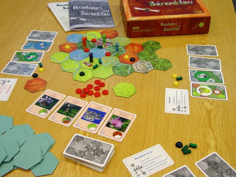 Haselwurz und Bärenklau