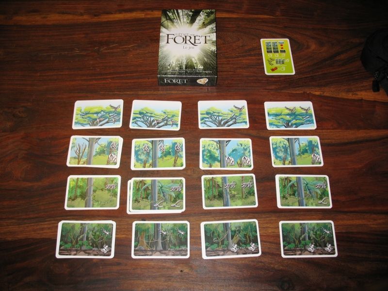 Babou et sa forêt parfaite ...