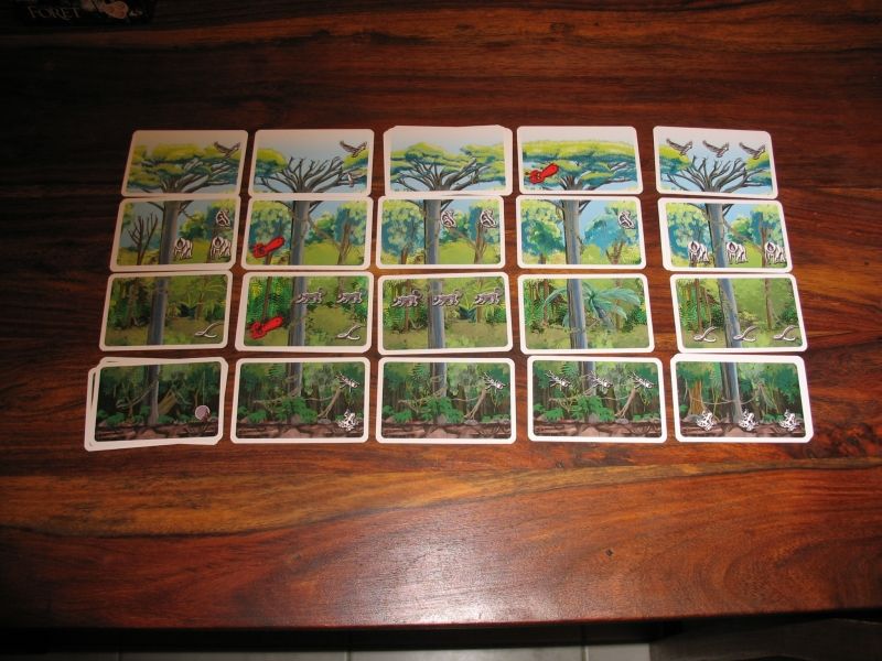 Moi et ma ... grande forêt :)