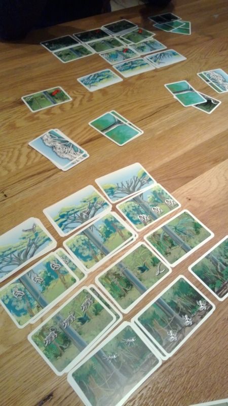 il était deux forets