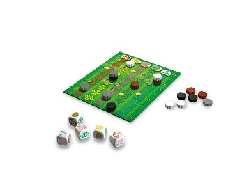 Keltis Das Würfelspiel