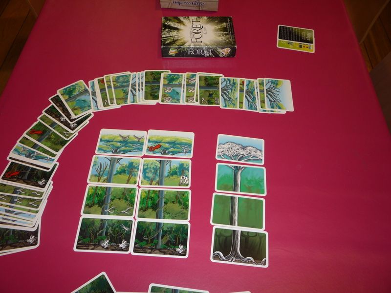 Il était une forêt