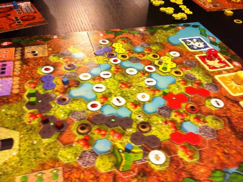 Le plateau en début de partie. Thomas (jaune) et Briac (bleu) ont établi une frontière. Briac a ouvert une galerie non loin de la mienne. Luc (rouge) et moi-même (noir) sommes au contact