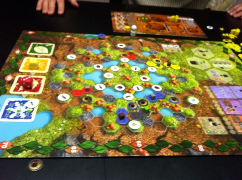 Printemps de la première année 