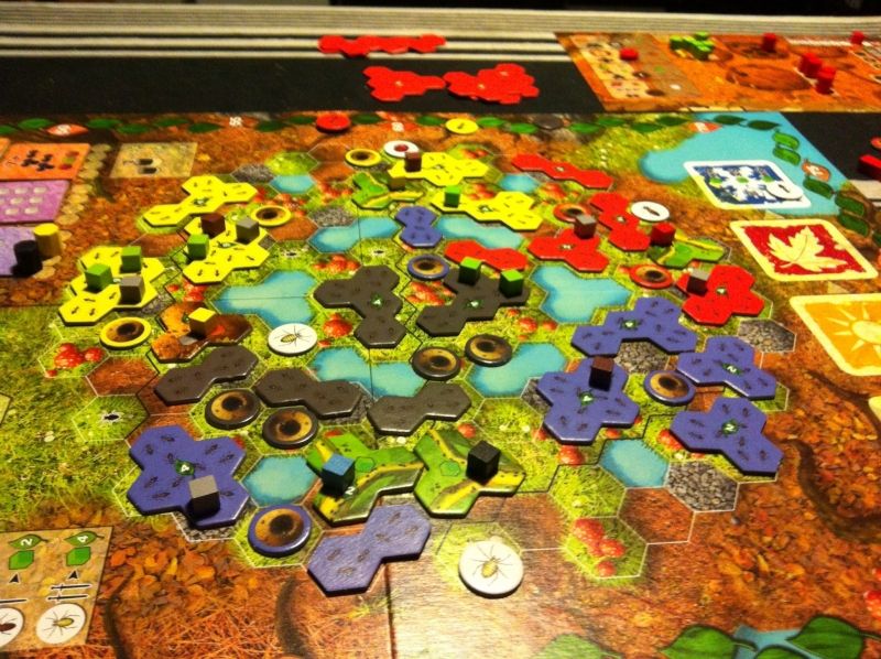 Situation de fin de partie : encerclé, mon salut fut au centre grâce au nettoyage des phéromones de Stéphane (bleu). Marco (rouge) fut envahi par Papi  (jaune) qui marqua 8 points en nettoyant la zone