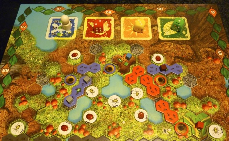 Le haut du plateau avec ses proies... il y a de la place et c'est là où va se jouer la victoire!!!