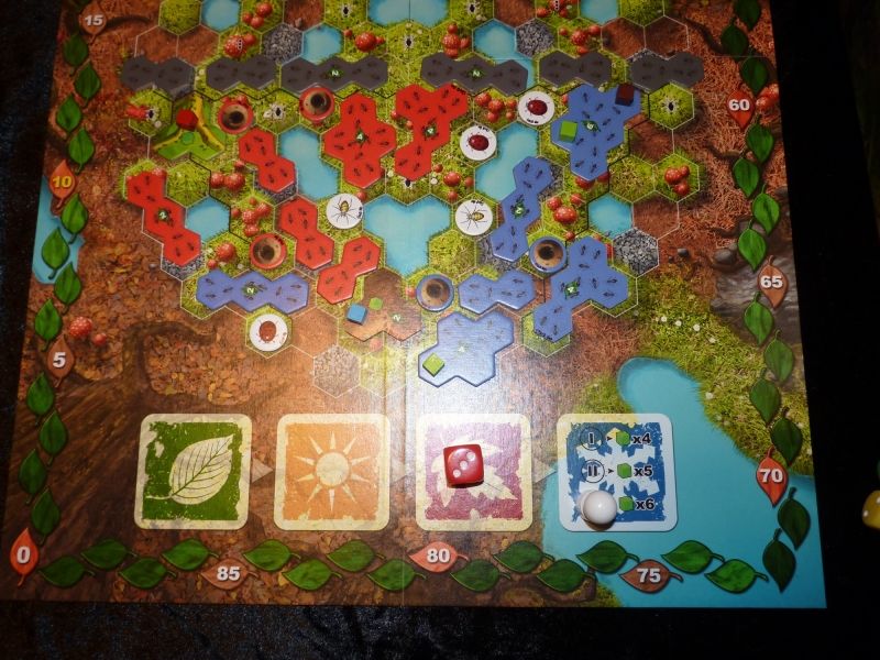 Fin de partie... les fourmis rouges se sont imposées