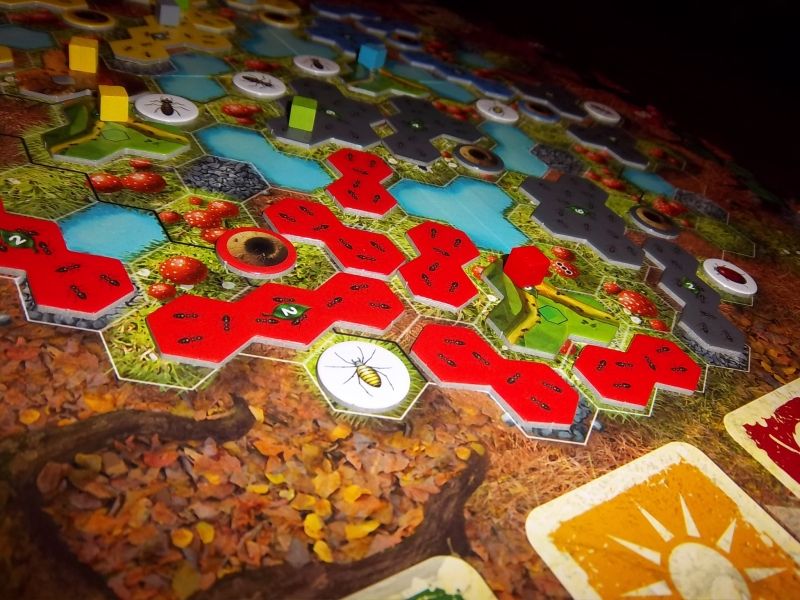 Moi, j'ai juste cerné une araignée...c'est déjà bien non ? 