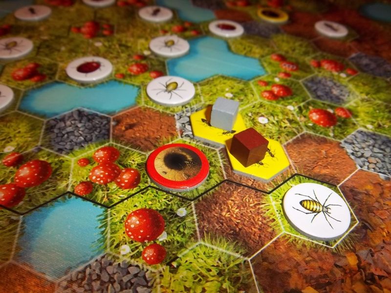 Le vilain premier coup de monsieur Lilajax ! La sortie rouge est à moi, le phéromone jaune est à ce sombre individu...