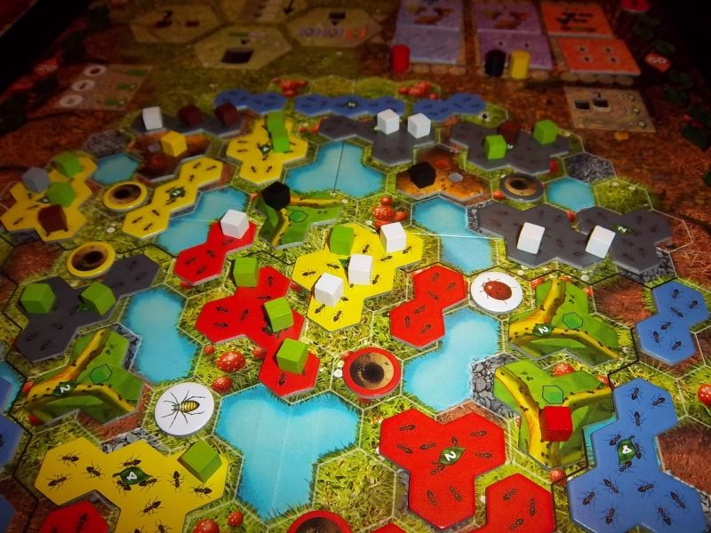 "Quoi ? des larves sur le plateau ??"...et ben oui, nous n'avons pas eu assez de cubes verts.