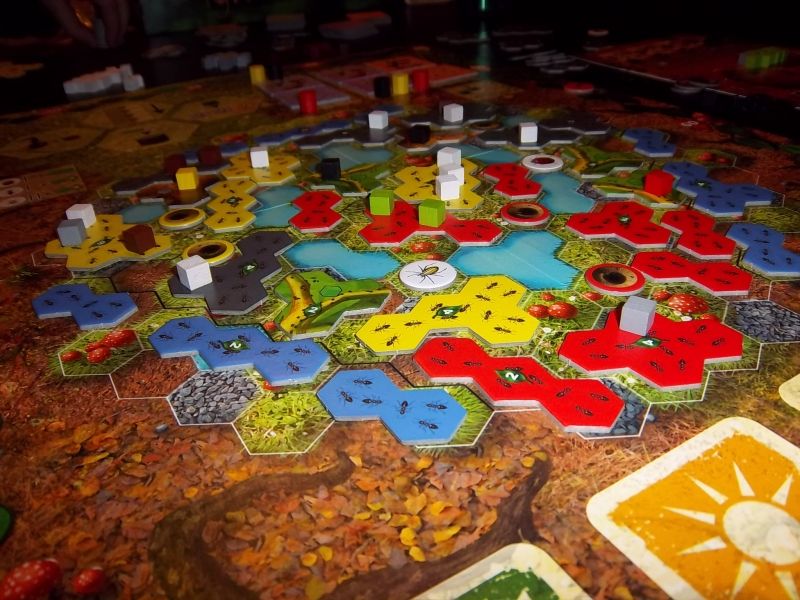 Une vue du plateau final...