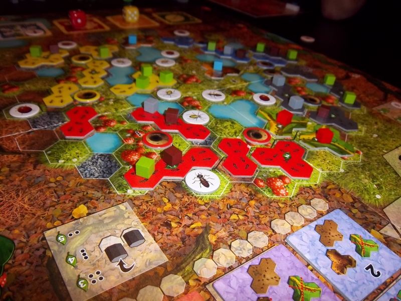 Après quelques saisons : sur la droite, mon "barrage" de pucerons...