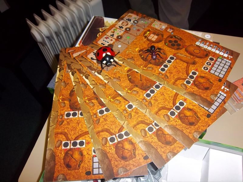 Pas mal comme jetons premier joueur hein ? C'est au choix...jeudi soir, ce fut la coccinelle. 