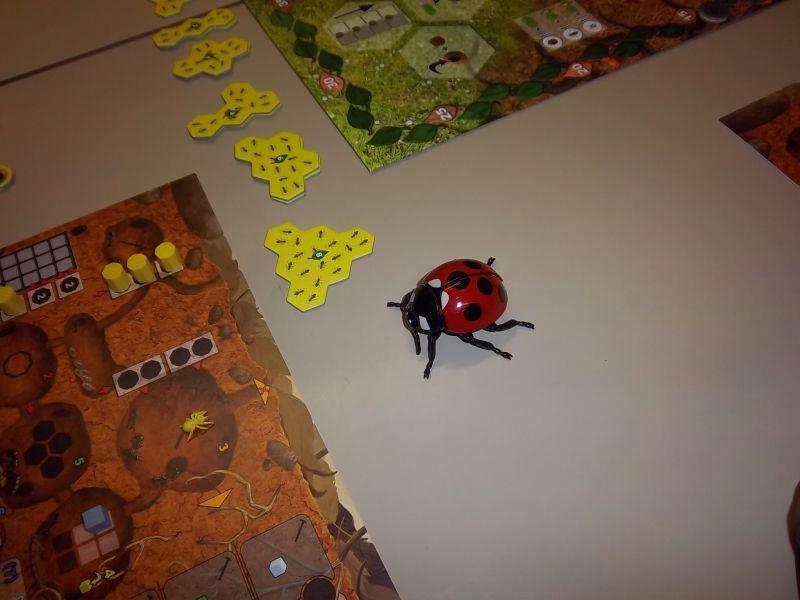 J'étais pas tout seul à suivre cette partie avec attention...