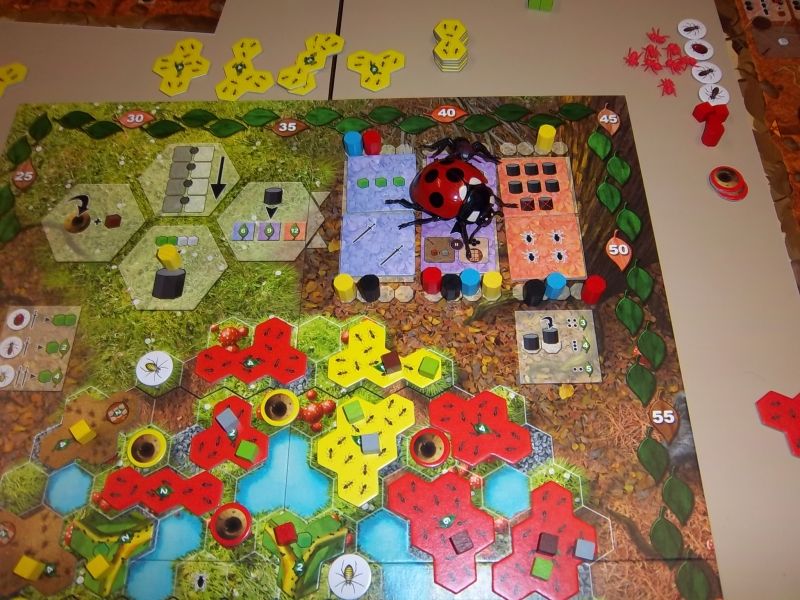 Les contrats réalisés...et la coccinelle en bien mauvaise posture. 