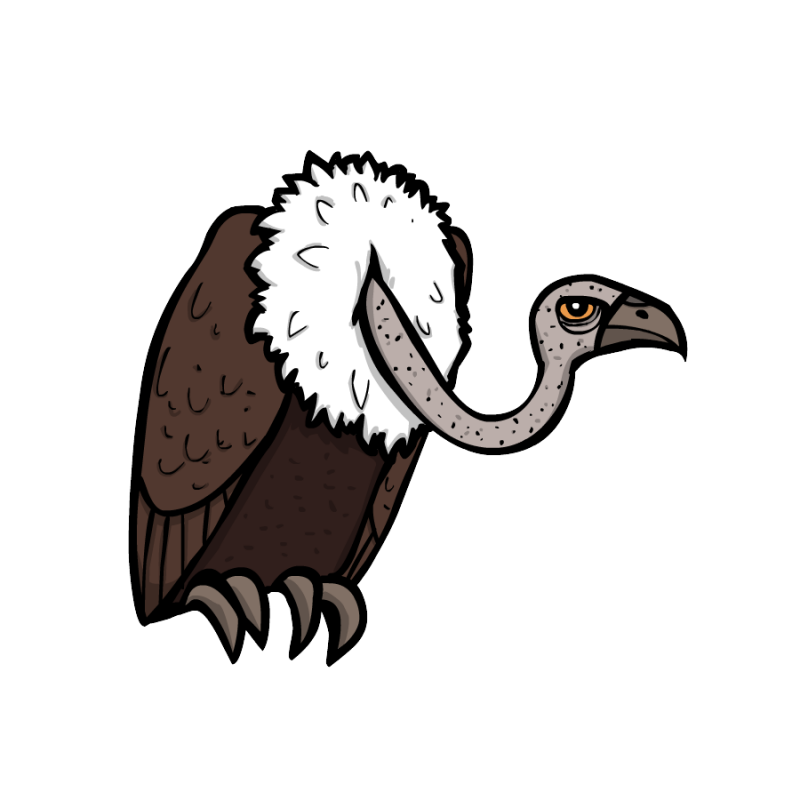 Nowheresville â Bandit Paradise