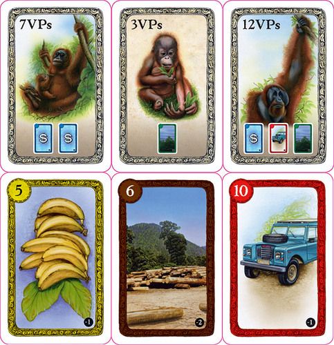 Old Men of the Forest