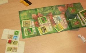 Die hängenden Gärten