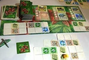 Die hängenden Gärten