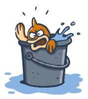 fish! fish!! fish!!!