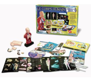Le corps humain