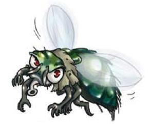 Pas touche la mouche !