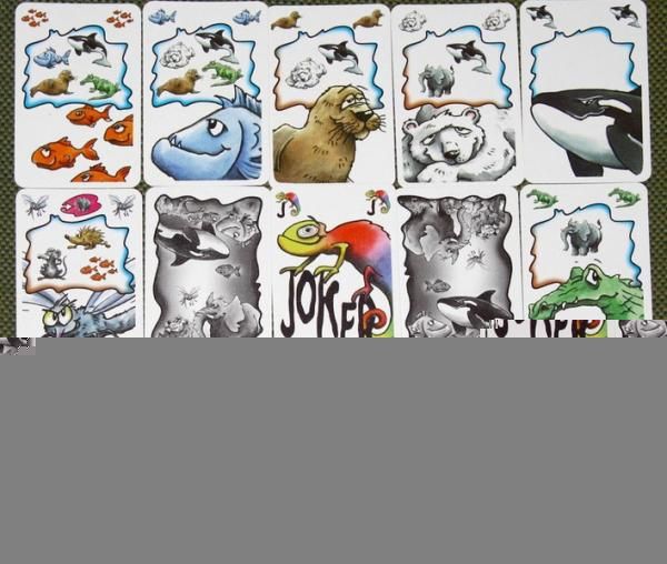 Frank's zoo / Zoff im Zoo