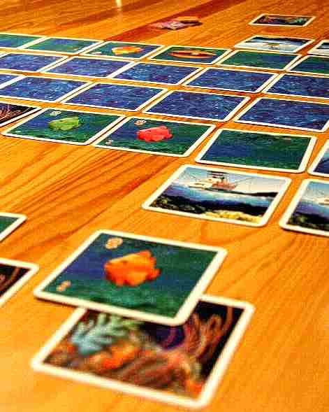 Das Riff / Le Récif