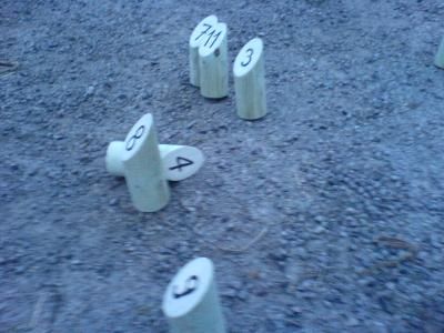 Loïc dégomme la 4 et c'est gagné ! 