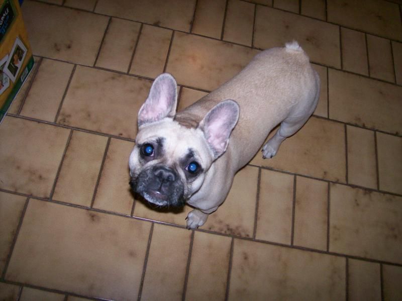 Un autre invité, dont le nom m'a obligé ? sortir ce jeu : Dixie !