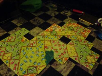 Nicky ferme le champs bleu avec 24 moutons et gagne la seconde partie !!