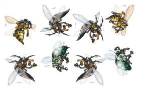 Pas touche la mouche !