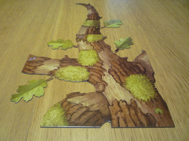 Arbres et branchages