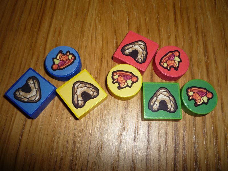 Les pions "Nourriture" et "Abri" de chaque joueur