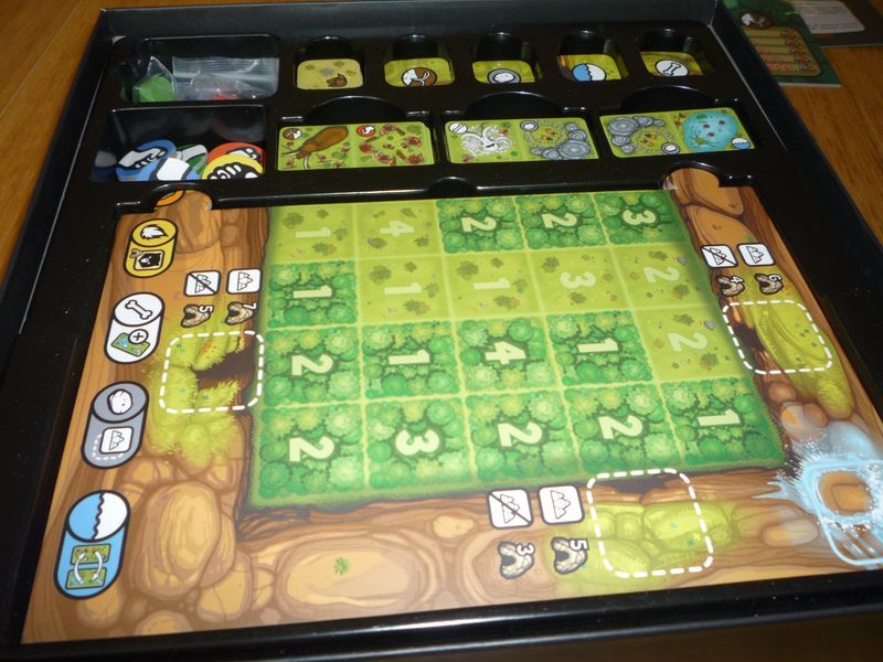 La boite et son thermoformage