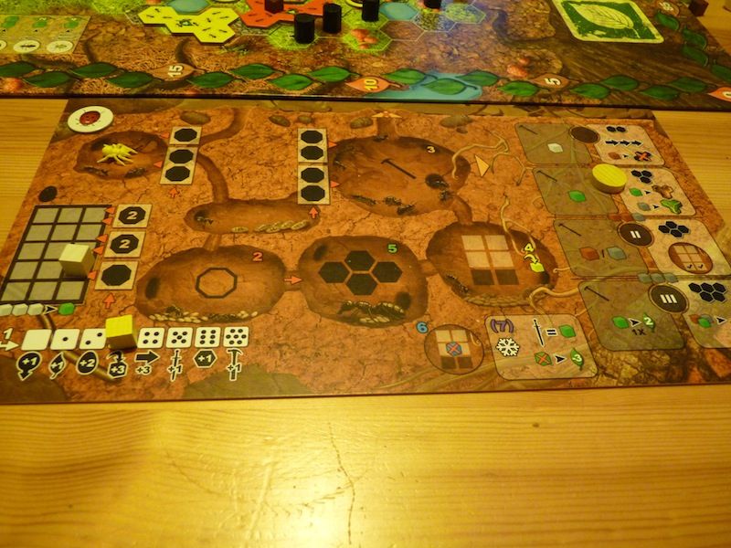 La fameuse fourmilière kamikaze de Blue, une seule survivante !