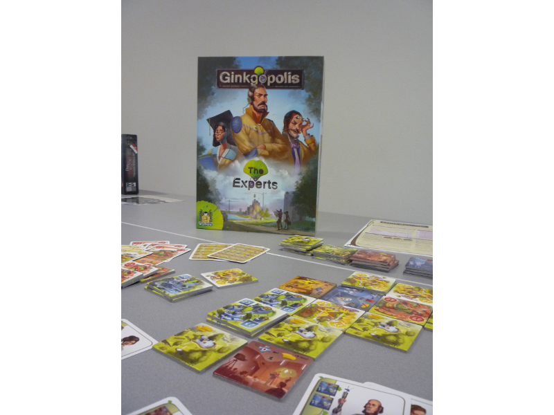 "Ginkgopolis - The Expert"